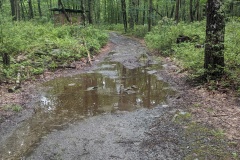 PXL_20230716_165846564.MP_