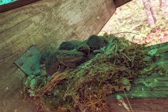 PXL_20230719_1401499552