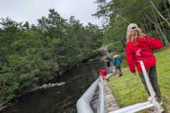 20250801_075803-1db1