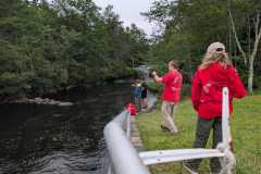 20250801_075803-bcfc