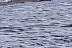 20250801_143010-d1f2