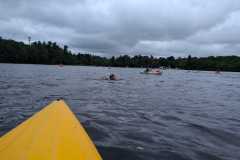 20250801_151232-faba