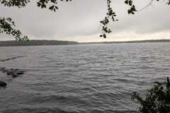 20250802_103847-3135