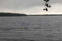 20250802_103847-89b2