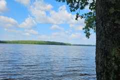 20250802_104815-7972